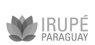 Logo de Irupé Paraguay